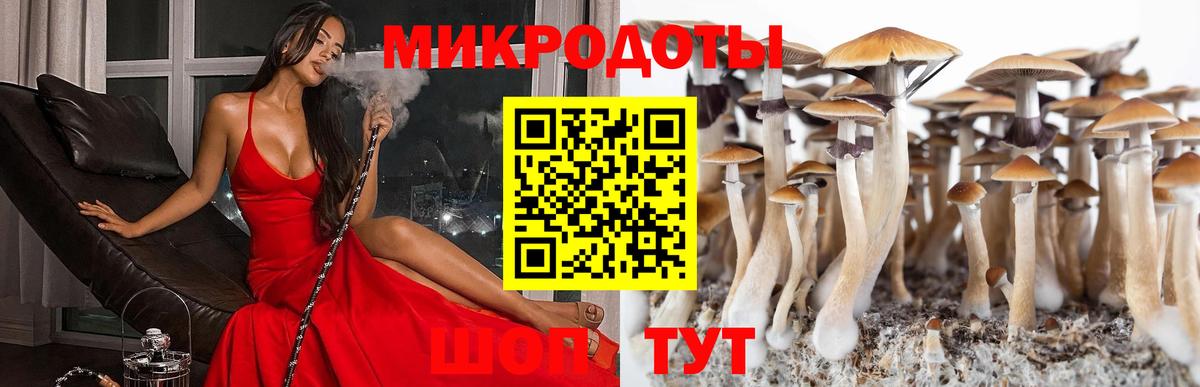 сколько стоит  Вход с VPN  Ухта  Галлюциногенные грибы прущие грибы  Псилоцибиновые грибы MAGIC MUSHROOMS 